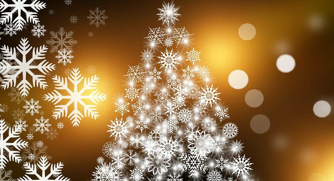 Christmas festive season