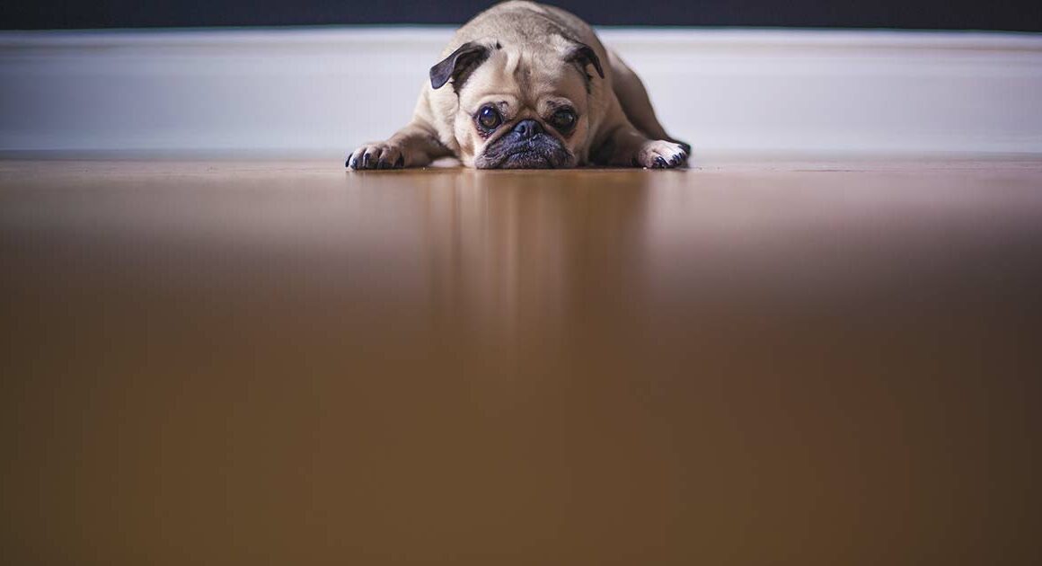 Reactions, health wellbeing