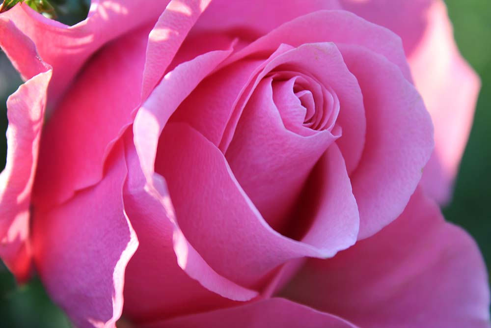 Yoga and Healing Gift Vouchers